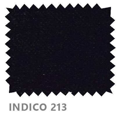 Indico 213